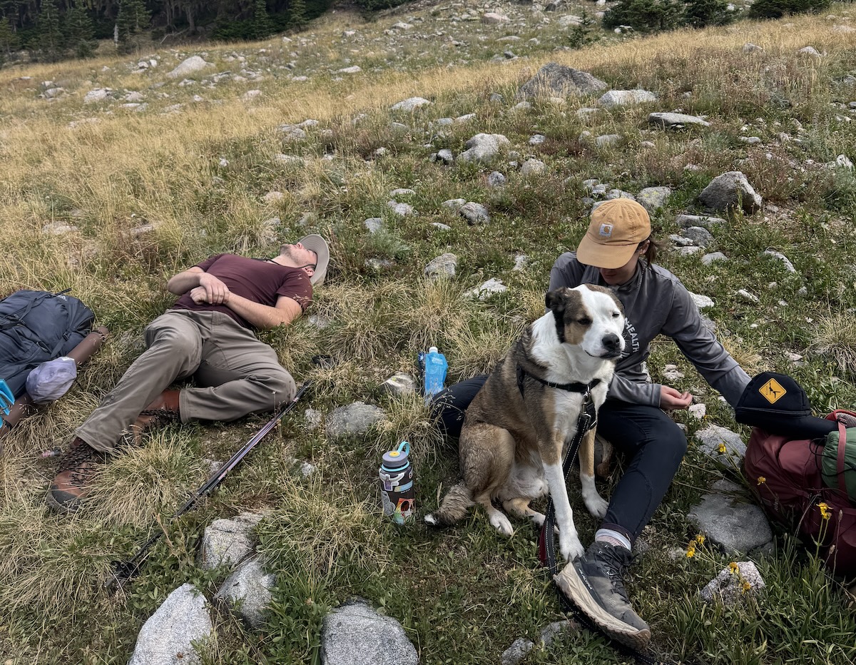 Ryan taking a much needed break while Zulu hangs out with Gabby